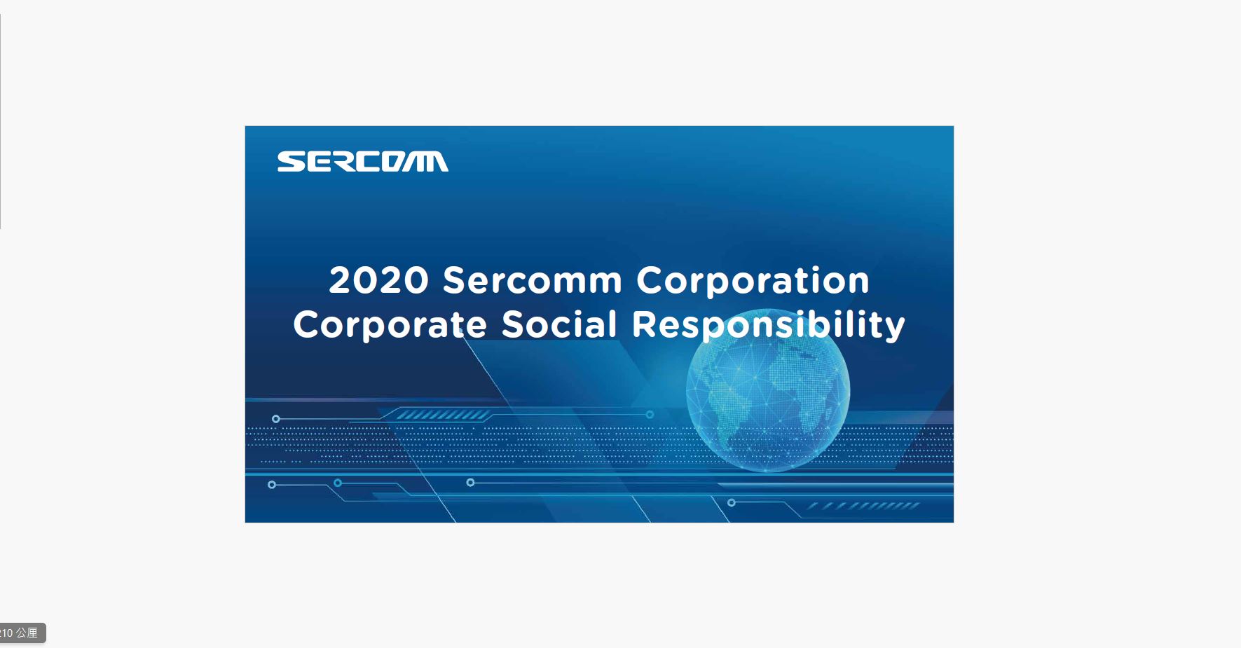 2020 CSR Report